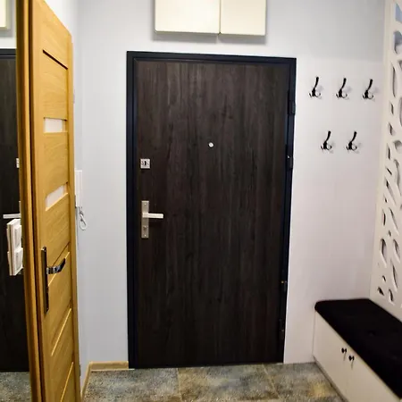 Kamienica Park 91 Apartment *